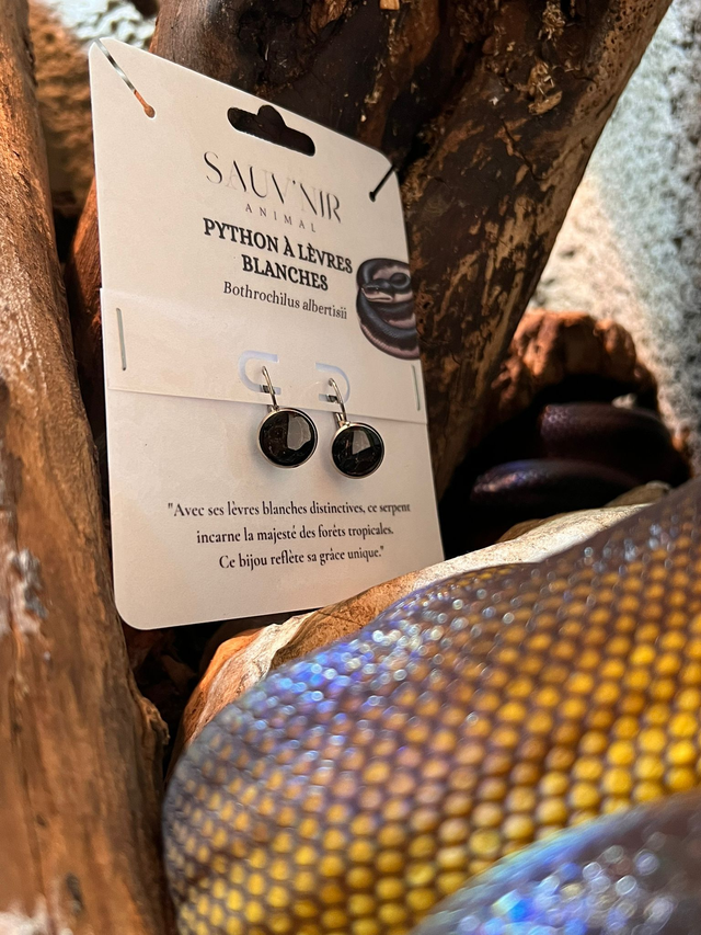 Boucles D&#039;oreilles - Reptiles