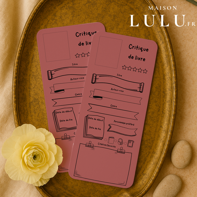 Marque page, Signet critique de livre, 11 couleurs