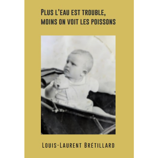 Plus l'eau est trouble, moins on voit les poissons