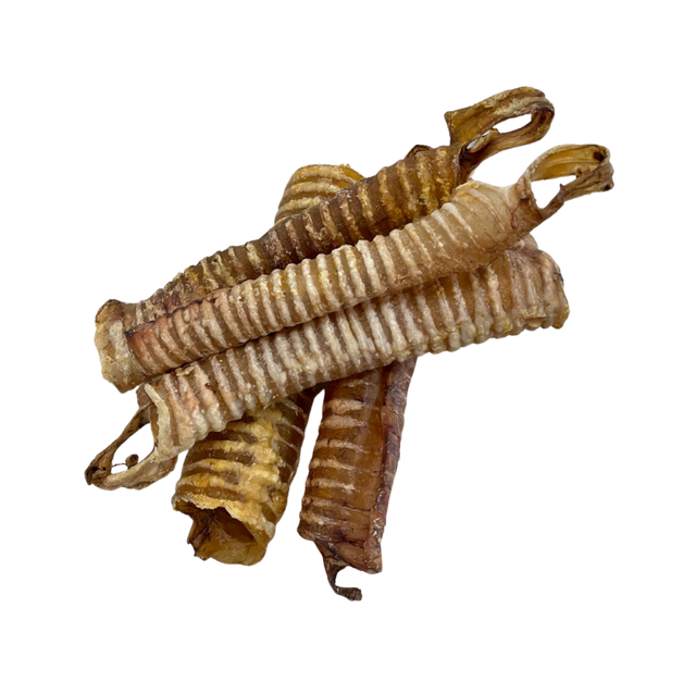Trachea 25-40cm