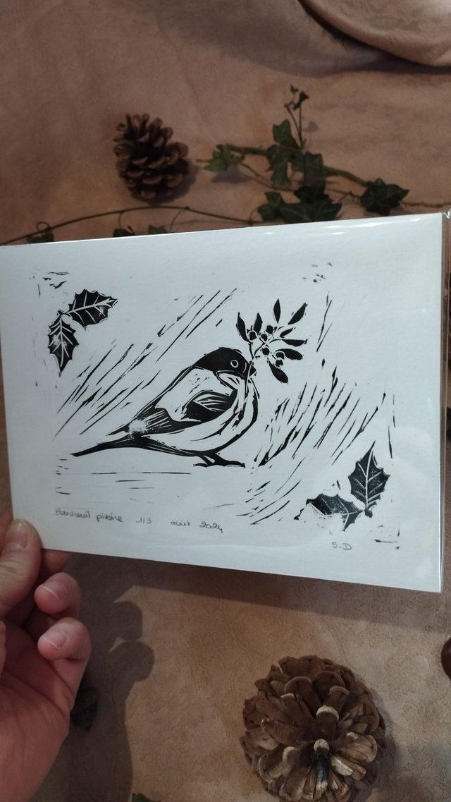 Illustration Oiseau Bouvreuil pivoine hivernal en linogravure