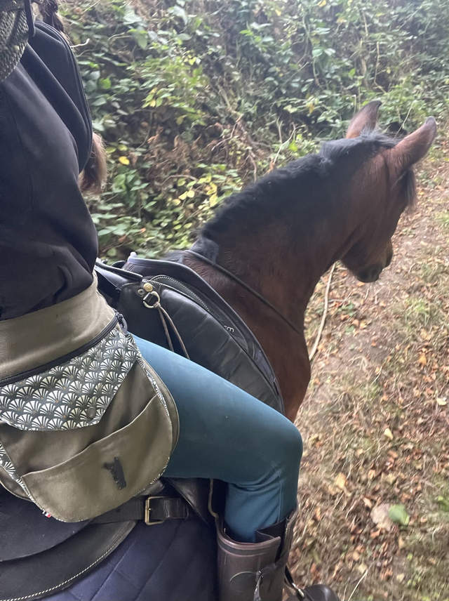 Grande pochette - Rose (uni)