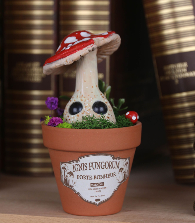 Champignon "Ignis Fungorum"