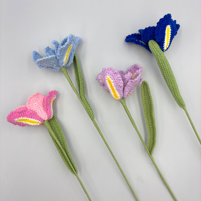  Tulipe Fantaisie 