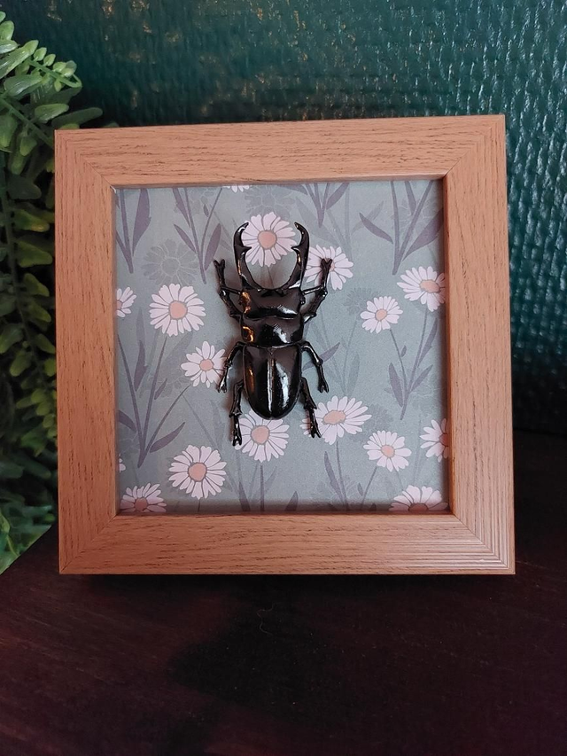 Cadre pâquerettes et scarabée 