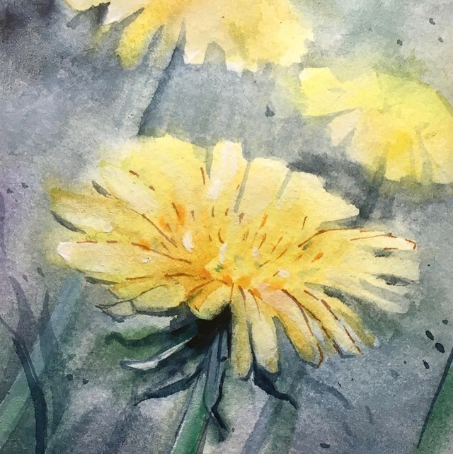 Képeslap, pitypangok