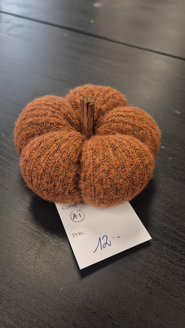 A1/Courge moyenne, canelle