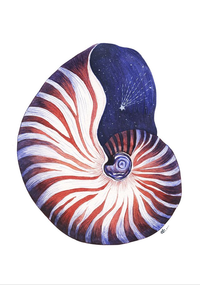 "Je te souhaite d'être l'étoile et le voeu qui l'accompagne"