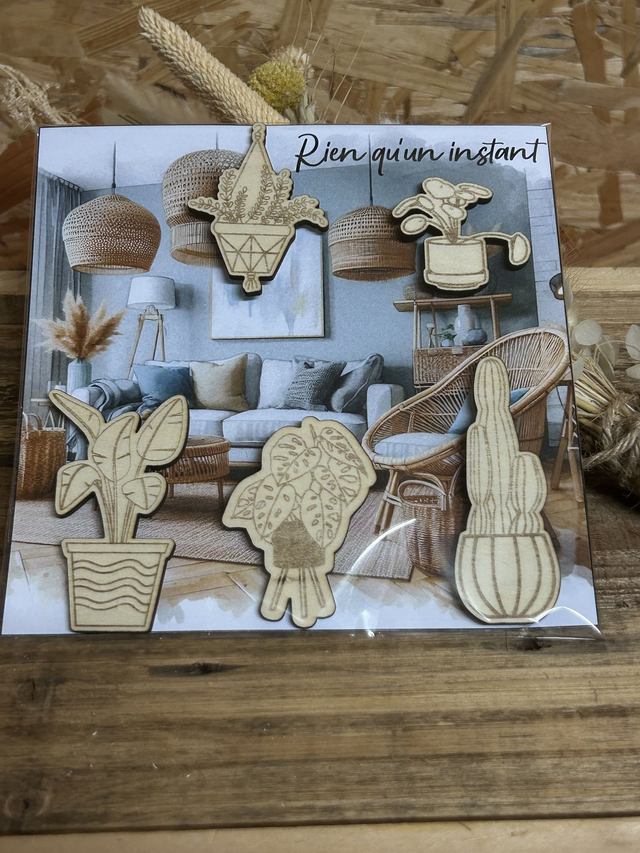 5 Magnets en bois pour les plantes Addict