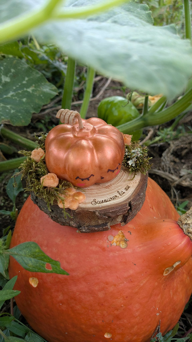 Patty la citrouille 🎃🧡