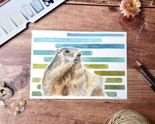 Aquarelle originale - Marmotte