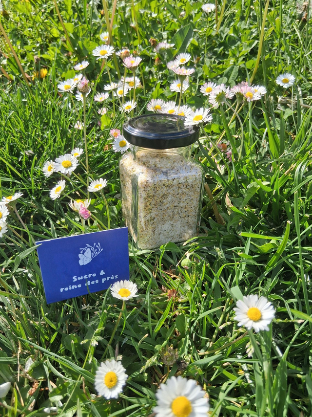 Sucre à la reine des prés 