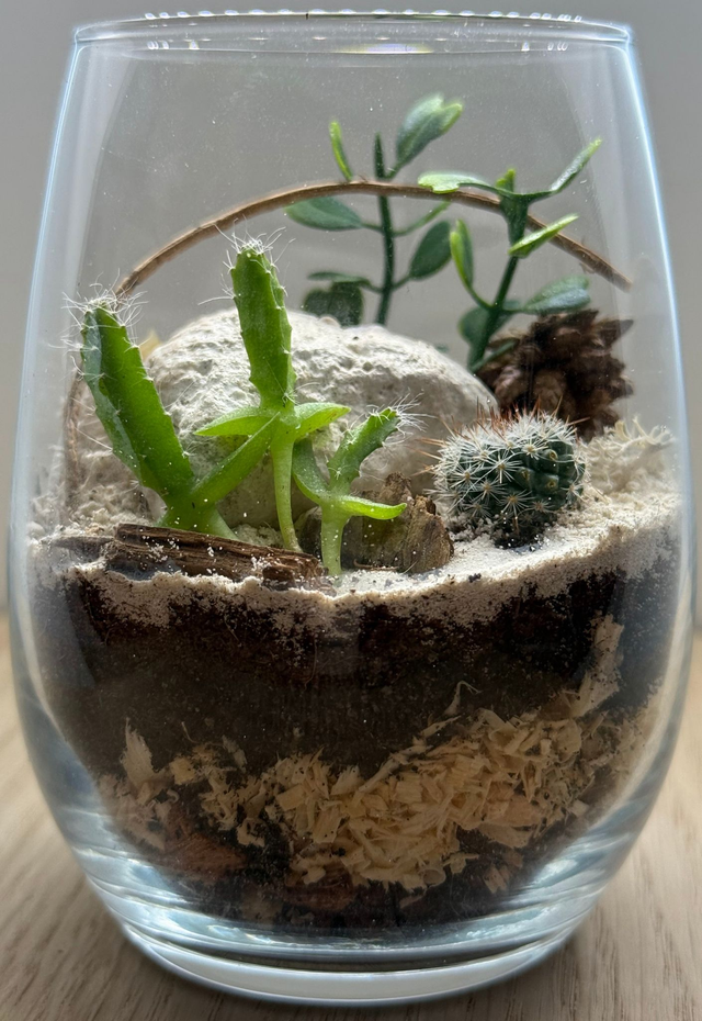 Bowo® KENYA connecté Home 