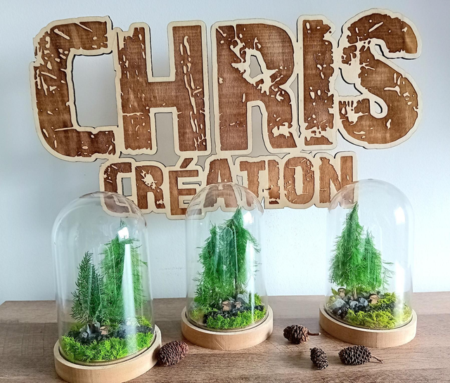 Cloche standard l'image de la Corrèze, forêt de sapins et cèpes 