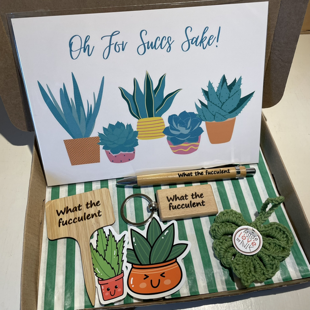 Succulent Letterbox Gift Set