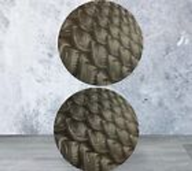 Slate Coaster set of 2 - round - Dragon Scales