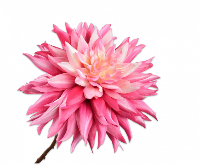 Silk-Ka Dahliasteel Donker Roze 