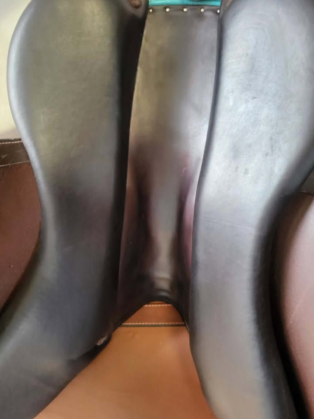 Selle Forestier Séoul - 2023 - 17" - occasion