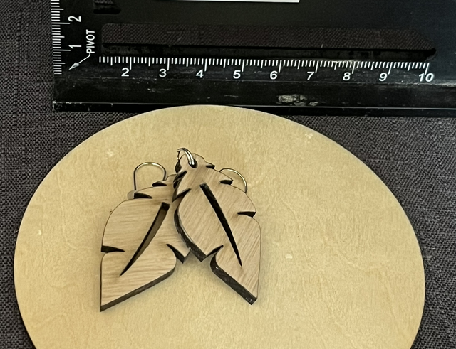 Les boucles de l’ours 