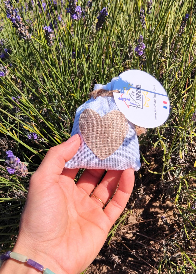 sachet de graine de lavandin