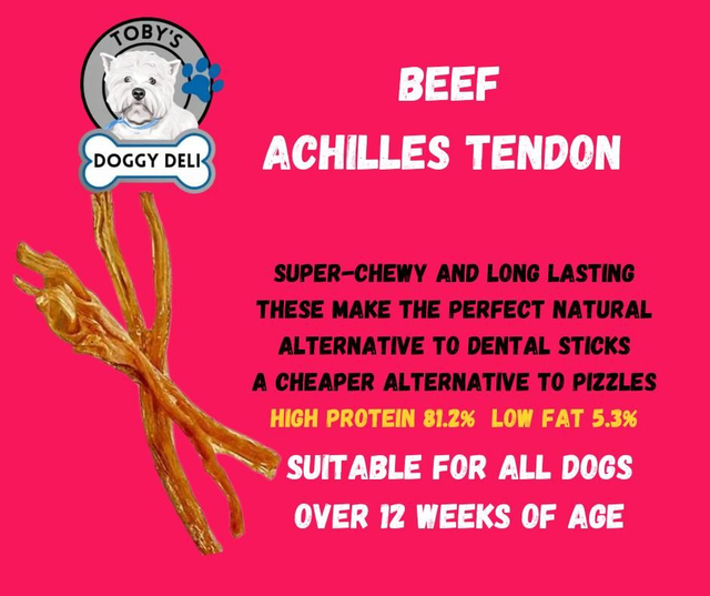 Beef Tendons 