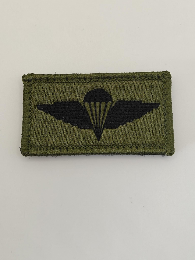 Para wings qualification badge 