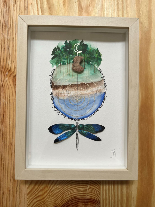 Libellule Cévennes 1