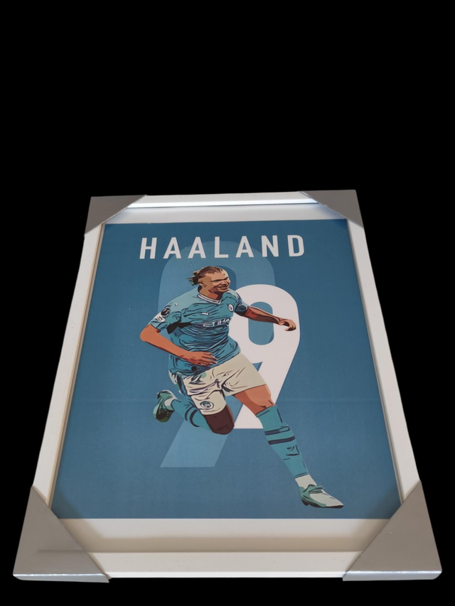 Lijst Haaland