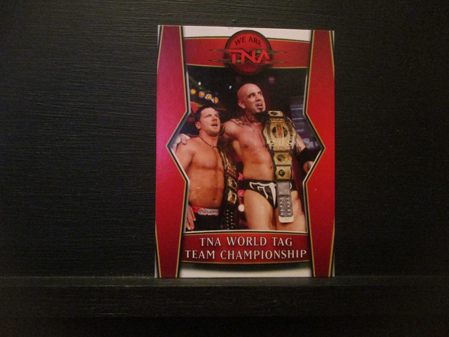 Tag Team Championship - We Are TNA Original Trading Card #T6