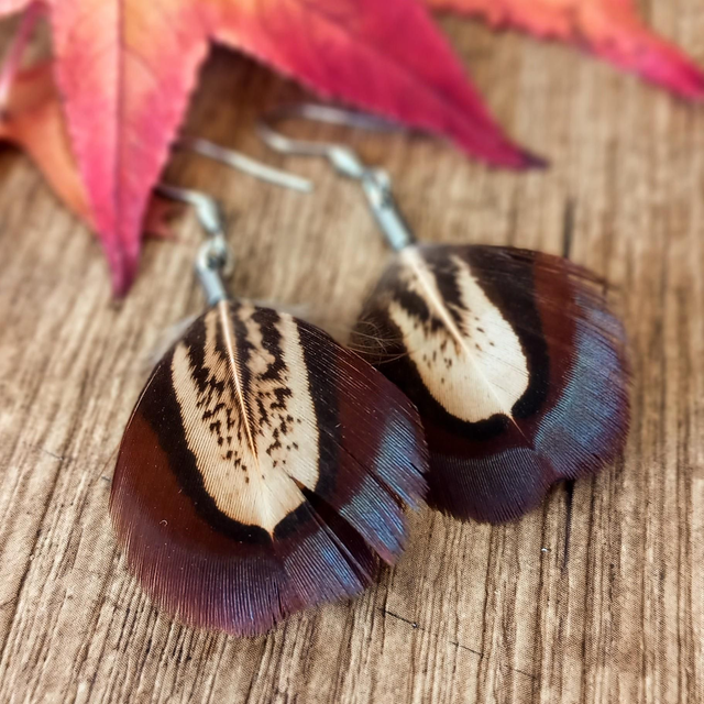 Boucles d&#039;oreilles faisan