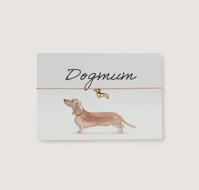 Carte et bracelet Dogmum chien 