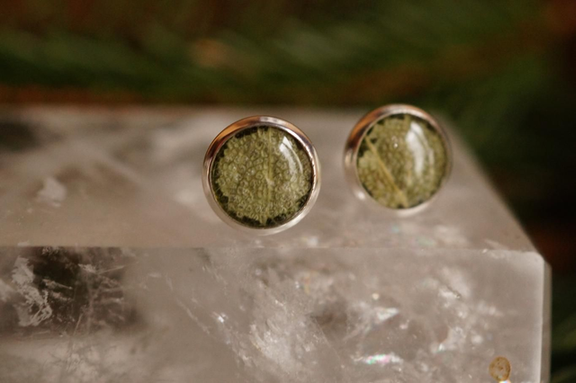 Clous d'oreilles - Sauge