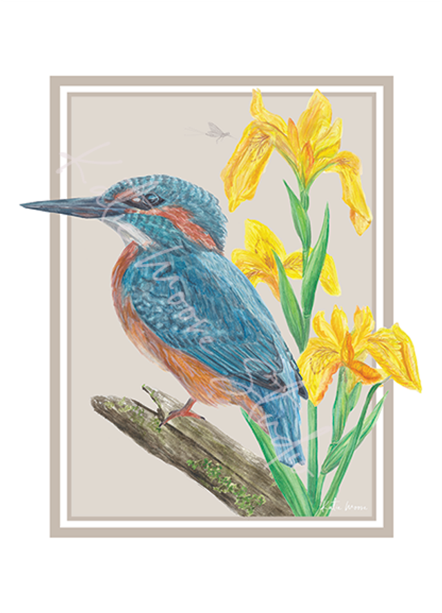 A6 Patience of a Kingfisher