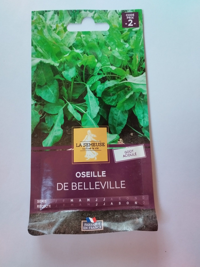 Oseille de Belleville