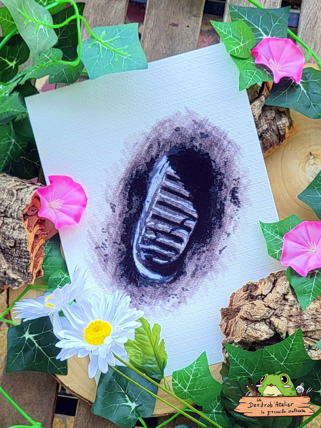 Un petit pas pour l'Homme...