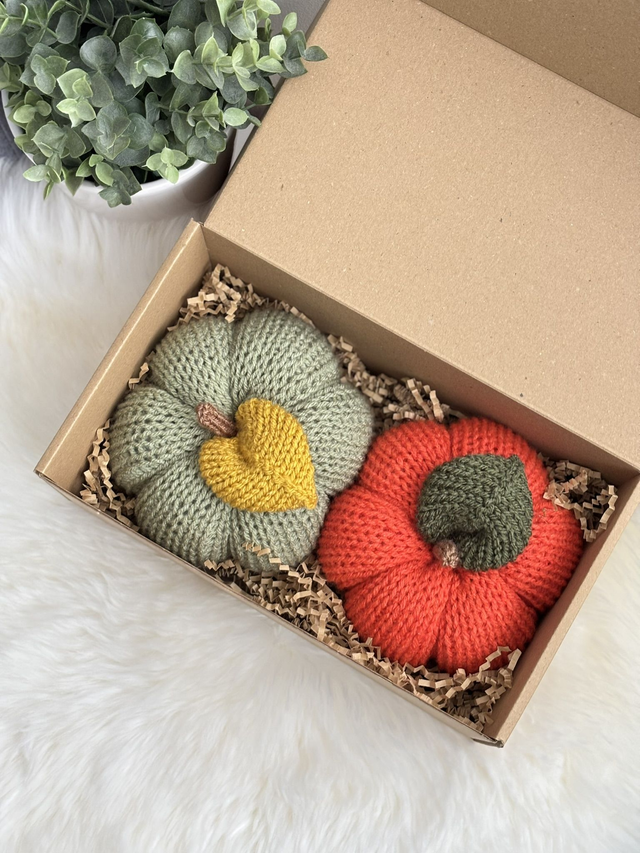 Citrouilles (Lot de 2)  