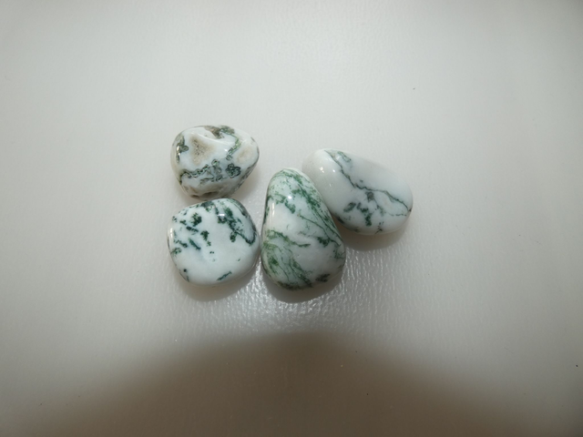 Agate Arbre A+. 20mm a 30mm Pièce