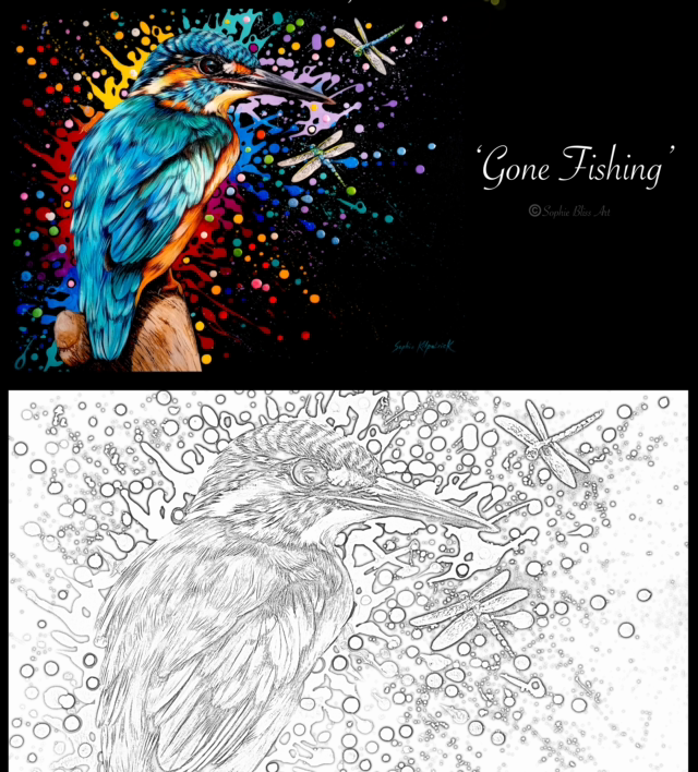 Adult Colouring Book - Splat Designs