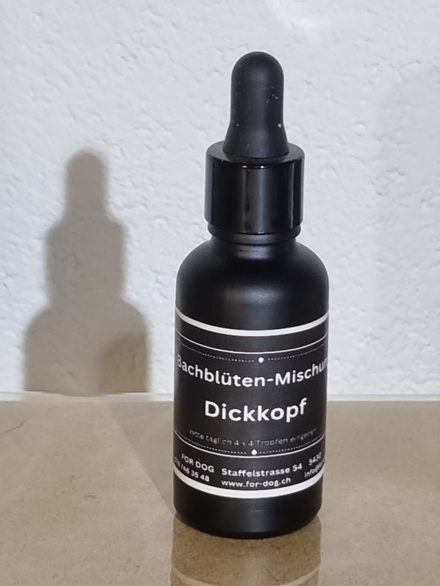 Dickkopf
