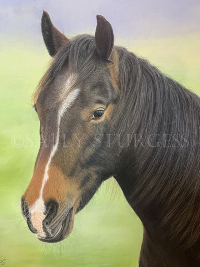 "Dusty - American Quarter Horse" 10x8" Original Pastel Painting Artwork