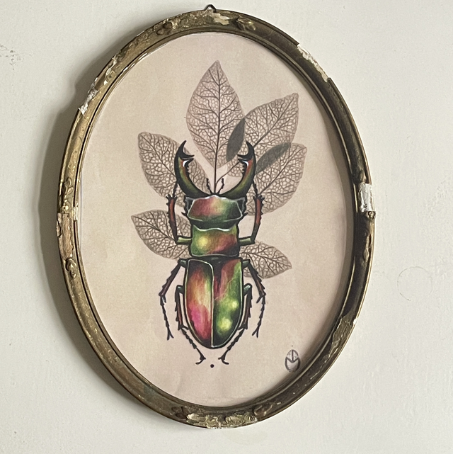 Brocanter Bilderrahmen incl. Hirschkäfer Patina  