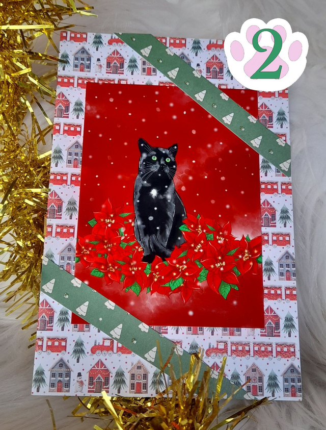 Carte de voeux chat noir et poissettia