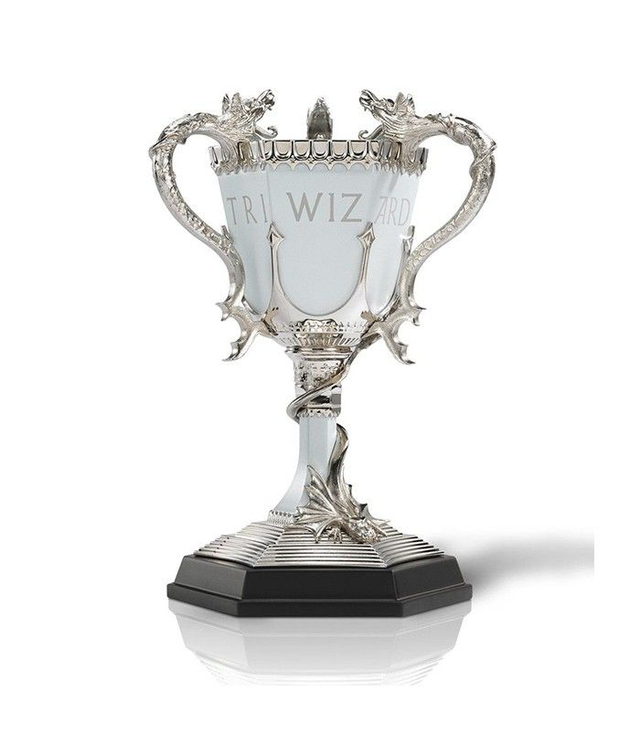 La Coupe des 3 Sorciers - Harry Potter