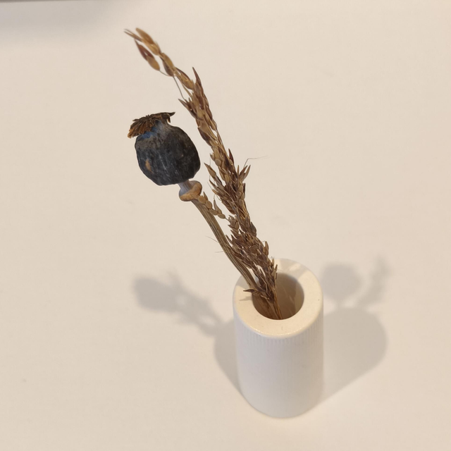 "Solune" Mini vase artisanal en gypse avec fleurs séchées – déco minimaliste 