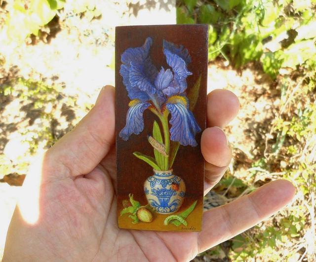 Iris flower and ladybug - Iris et coccinelle