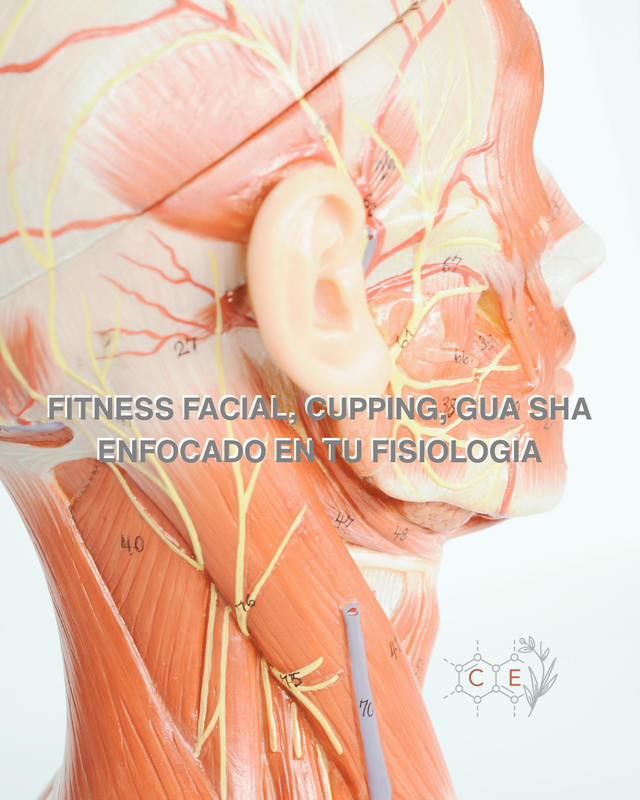 Taller: Fitness facial + masaje drenaje linfático con gua sha + cupping facial