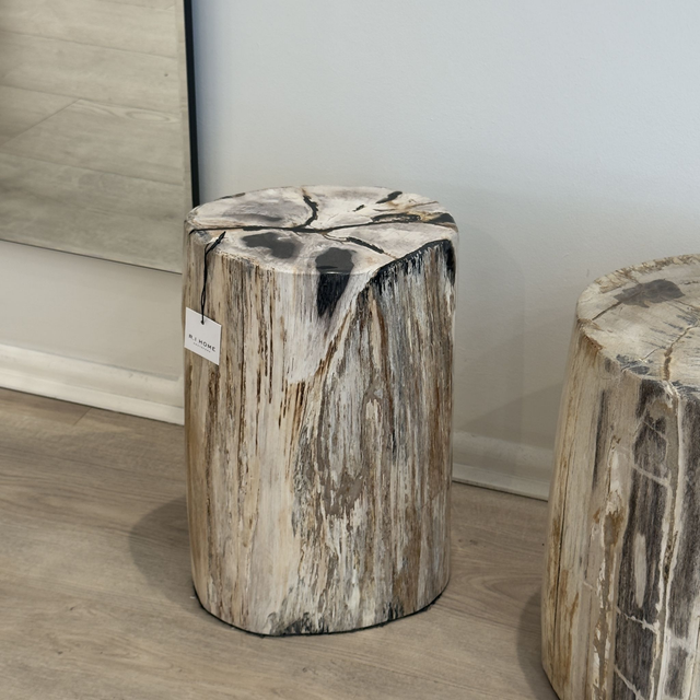 Petrified Wood Stool | 1 (Collection Only)