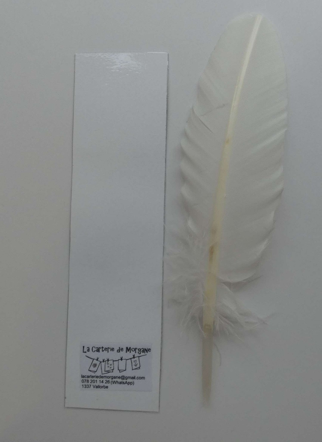 Le marque-page aux sapins de Noël