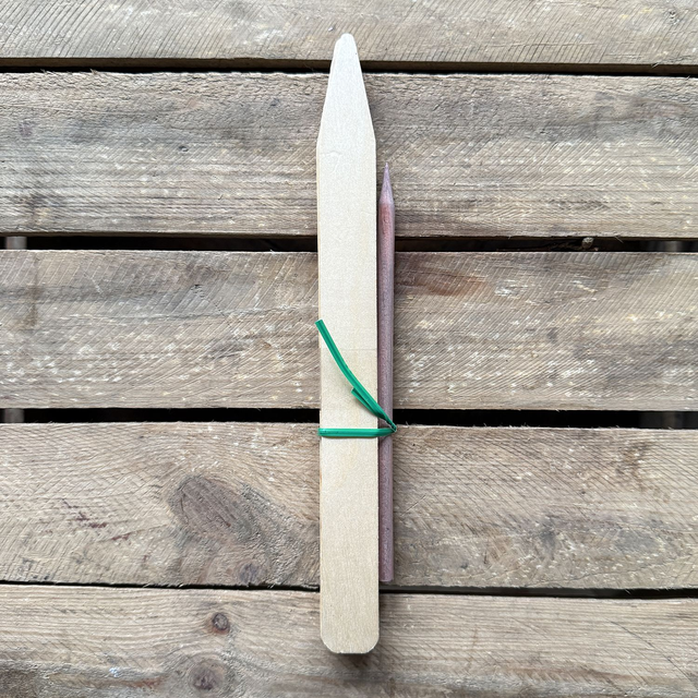 Tall wood planter and pencil