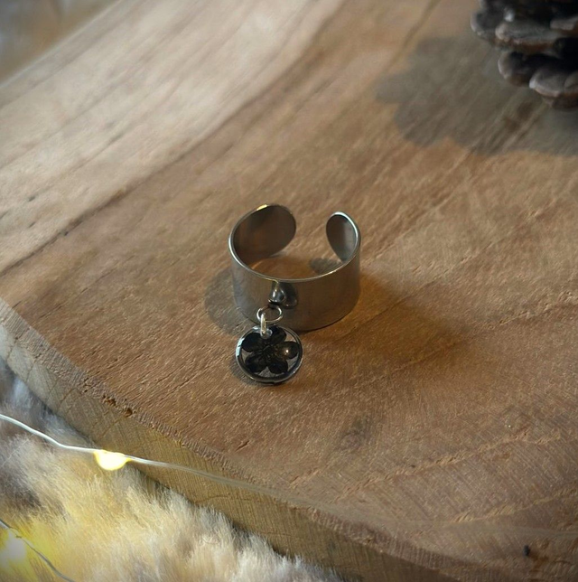 Alix - Eclat d'ombre